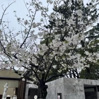 披露宴会場外