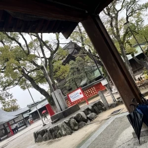 筥崎宮|630473さんの筥崎宮の写真(2045575)