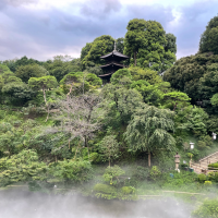 外の庭（写真撮る場所）からの風景です。雲海が出ておりました。