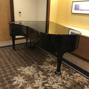 ピアノ|630965さんの浅草ビューホテルの写真(1589859)