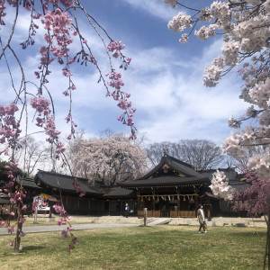 春の護国神社|631010さんの長野縣護國神社の写真(1556603)