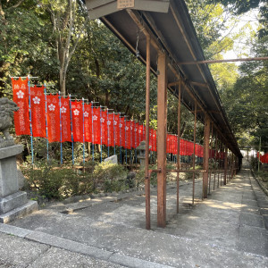 神社への階段
当日は提灯を地元の方々でつけてくださるみたい|631050さんの竹田邸の写真(1557482)