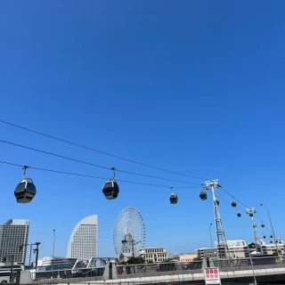 会場からの眺め