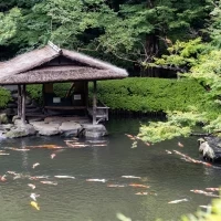 緑に囲まれた素敵な庭は、
ゲストが散歩することができます