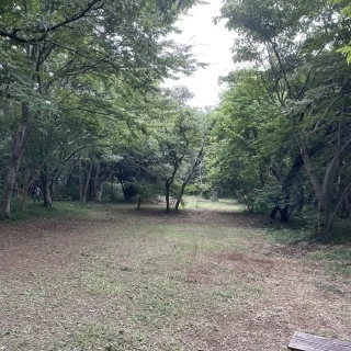 森挙式