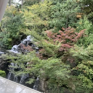 開放的な広い窓から見える緑がとても癒される会場でした。