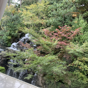 開放的な広い窓から見える緑がとても癒される会場でした。|632534さんの迎賓館TOKIWAの写真(2046874)