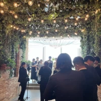おしゃれな電飾、植物、レンガ。