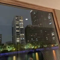 会場からの景色