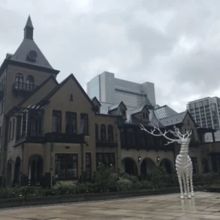 庭