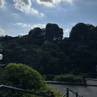 日本庭園です。