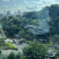日本庭園です。