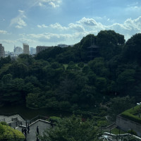 日本庭園です。