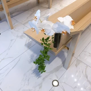 東京會舘オリジナルの胡蝶蘭