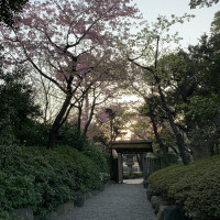 庭園