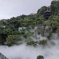 雲海