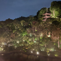 お庭、雲海