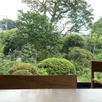 緑が多く、景色がとても良かったです