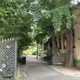 ガーデンに続く道