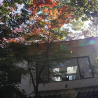 外からチャペルを見た景色　紅葉が色づいていて綺麗でした