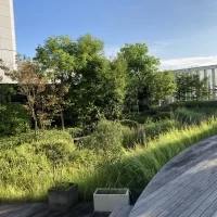 屋上ガーデン