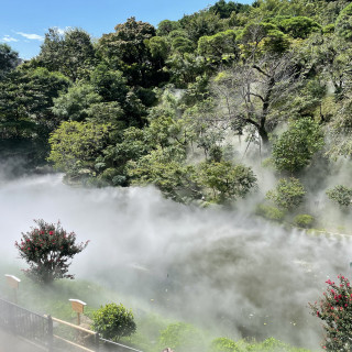 雲海です。