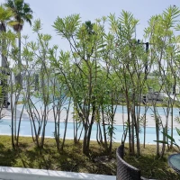 柵を使わず木を植えて隠れるようにしていました。