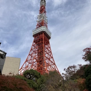 お庭から望める景色