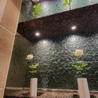 ロマンチックな白い薔薇が壁一面に