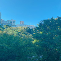 庭園