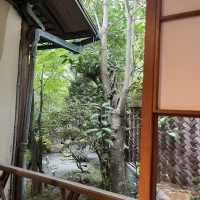 雨の日でも映える空間