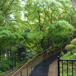 階段が急です。|636158さんのSport & Do Resort リソルの森の写真(1655460)