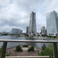 フラワーシャワー直後に見ることの出来る景色