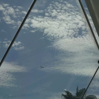 いい天気でした