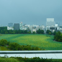 ゲストの待合室から見た外の風景です