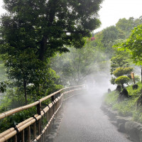 雲海