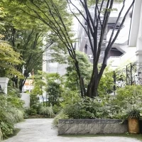 この日は朝雨。晴天時はフラワーシャワーはここで実施
