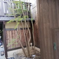 和風
