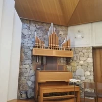 生演奏つき
