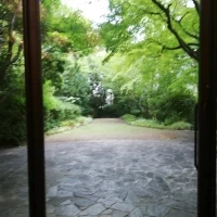 庭付き