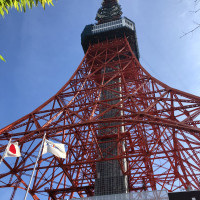東京タワーが綺麗でした