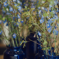 ゲスト待合室
普段レストラン飾ってある季節の花です