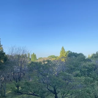 緑豊かな会場