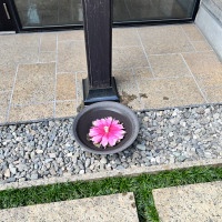 チャペル入口付近の花