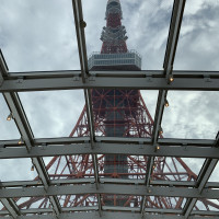 東京タワーを見上げられる