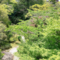 会場からの景色