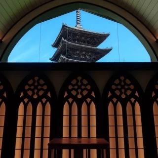 ぜひ、現地で見てください！