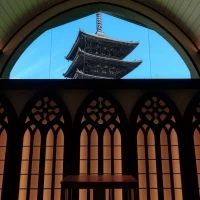 ぜひ、現地で見てください！