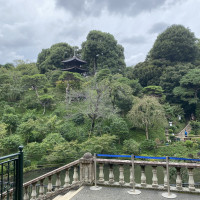 雲海が消えてからもたくさんの木々で落ち着いた雰囲気でした