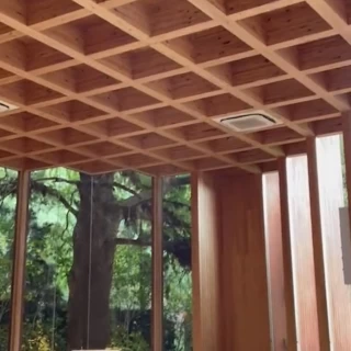 真ん中にシンボルツリーがありました